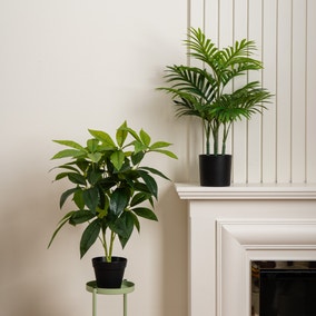 Set of 2 Artificial Palm and Money Tree Plants