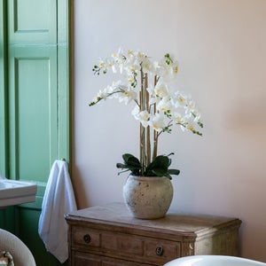 Artificial Oversized Orchid In Rustic Pot