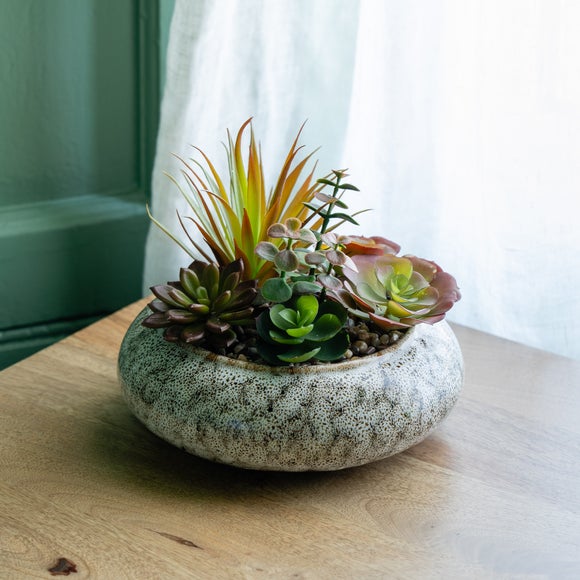 Succulent Bowl