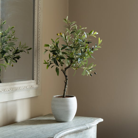 Olive Tree in Resin Pot