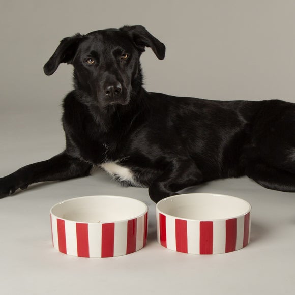 View Scruffs Amalfi Striped 2 Piece Dog Bowl Food And Water Bowl Set View Scruffs Amalfi Striped 2 Piece Dog Bowl Food And Water Bowl Set