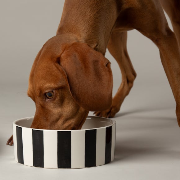 View Scruffs Amalfi Striped 2 Piece Dog Bowl Food And Water Bowl Set View Scruffs Amalfi Striped 2 Piece Dog Bowl Food And Water Bowl Set
