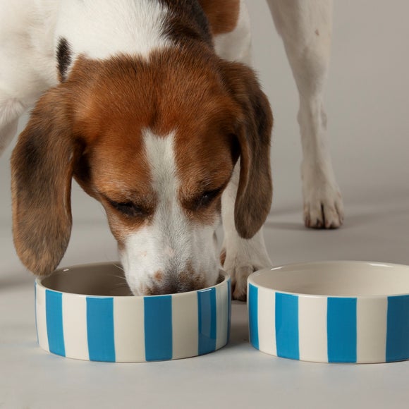 View Scruffs Amalfi Striped 2 Piece Dog Bowl Food And Water Bowl Set View Scruffs Amalfi Striped 2 Piece Dog Bowl Food And Water Bowl Set