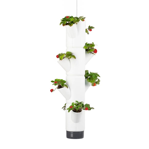 Gusta Garden Sissi Strawberry Hanging 4 Level Strawberry Tree Planter