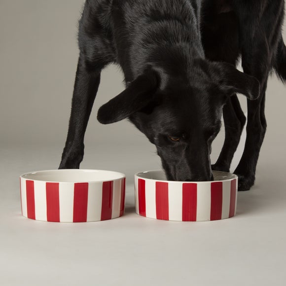 View Scruffs Amalfi Striped 2 Piece Dog Bowl Food And Water Bowl Set View Scruffs Amalfi Striped 2 Piece Dog Bowl Food And Water Bowl Set