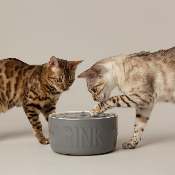 Scruffs Classic Cat Fountain