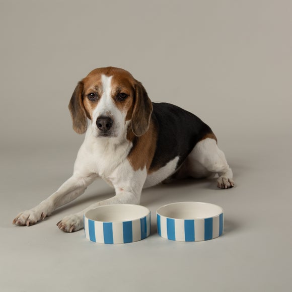View Scruffs Amalfi Striped 2 Piece Dog Bowl Food And Water Bowl Set View Scruffs Amalfi Striped 2 Piece Dog Bowl Food And Water Bowl Set