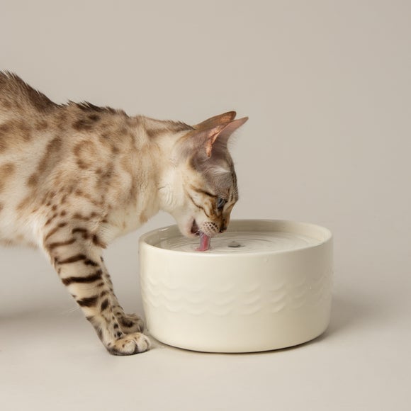 Scruffs Icon Cat Fountain
