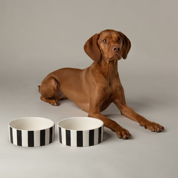 View Scruffs Amalfi Striped 2 Piece Dog Bowl Food And Water Bowl Set View Scruffs Amalfi Striped 2 Piece Dog Bowl Food And Water Bowl Set