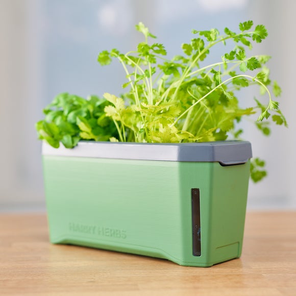 Gusta Garden Harry Herbs 4in1 Herb Pot with Cover