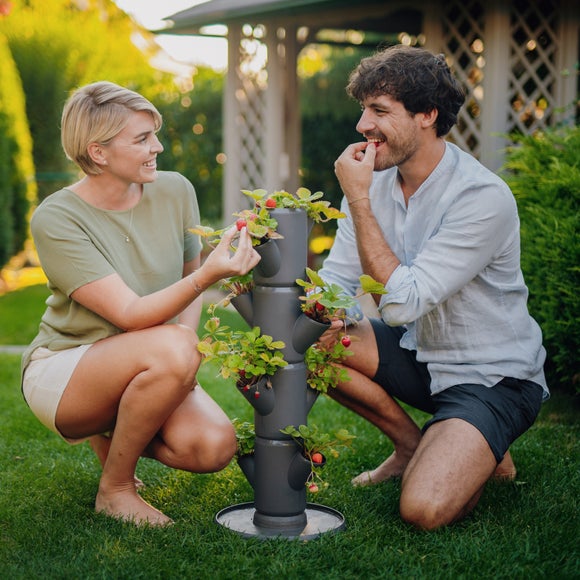 Gusta Garden Sissi Strawberry Starter 4 Level Strawberry Tree Planter