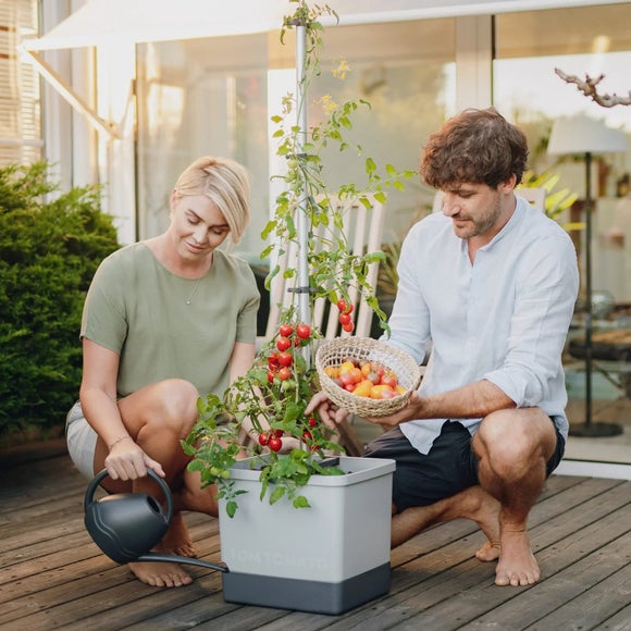 Gusta Garden Tom Tomato Pot with Water Tank