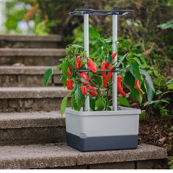 Gusta Garden Charly Chili Pot with Water Tank and Climbing System