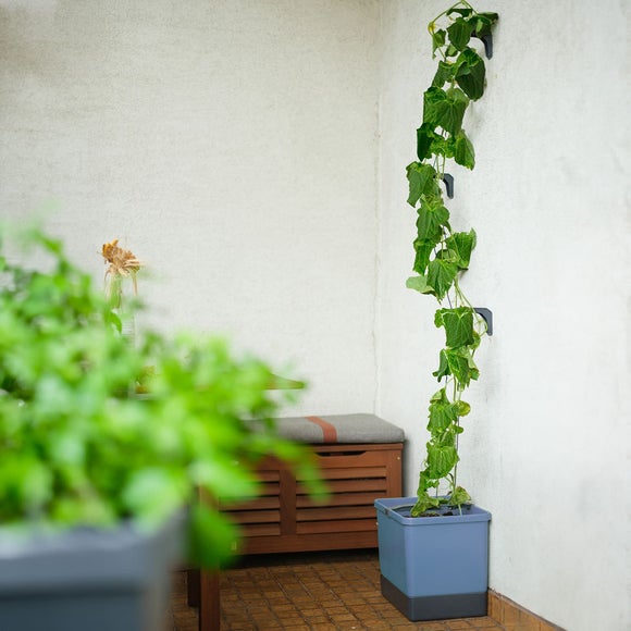 Gusta Garden Curt Cucumber Planter with Water Tank