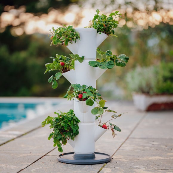 Gusta Garden Sissi Strawberry Starter 4 Level Strawberry Tree Planter