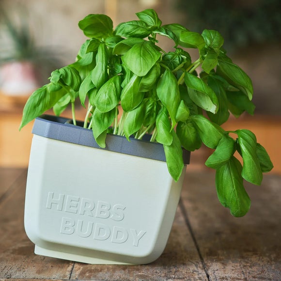 Gusta Garden Herbs Buddy Herb Pot with Water Reservoir