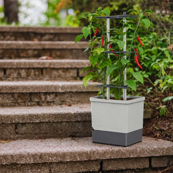 Gusta Garden XL Charly Chili Pot with Water Tank and Climbing System