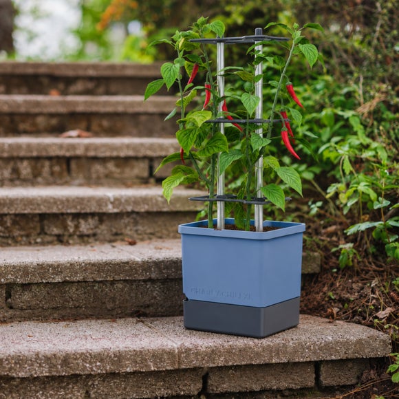 Gusta Garden XL Charly Chili Pot with Water Tank and Climbing System