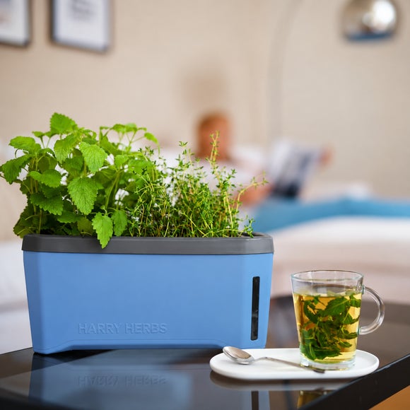 Gusta Garden Harry Herbs 4in1 Herb Pot