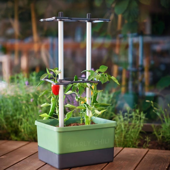 Gusta Garden Charly Chili Pot with Water Tank and Climbing System