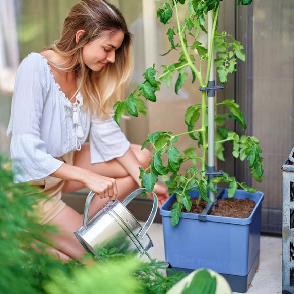 Gusta Garden Tom Tomato Pot with Water Tank