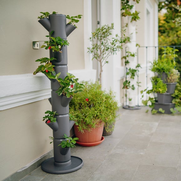 Gusta Garden Sissi Strawberry Classic 6 Level Strawberry Tree Planter