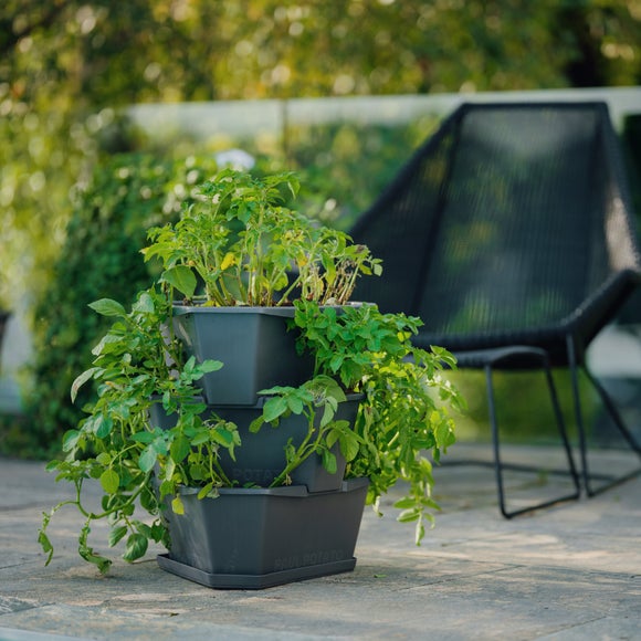 Gusta Garden Paul Potato 3 Level Potato Growing Tower