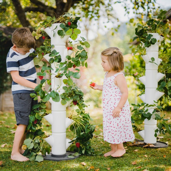 Gusta Garden Sissi Strawberry Classic 6 Level Strawberry Tree Planter