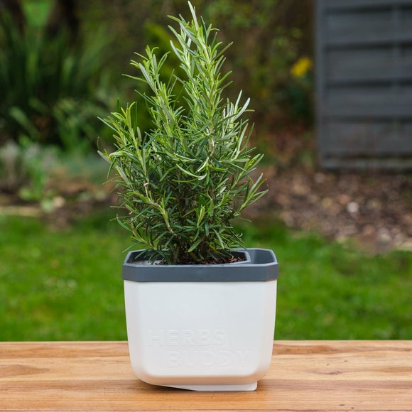 Gusta Garden Herbs Buddy Set of 3 Herb Pots with Water Reservoirs