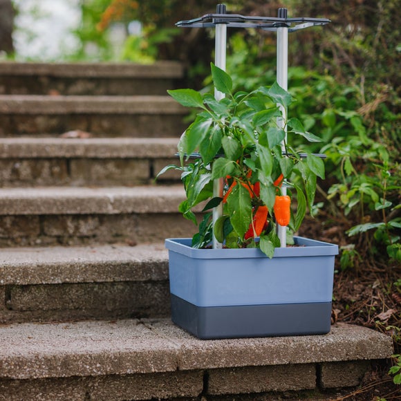 Gusta Garden Charly Chili Pot with Water Tank and Climbing System