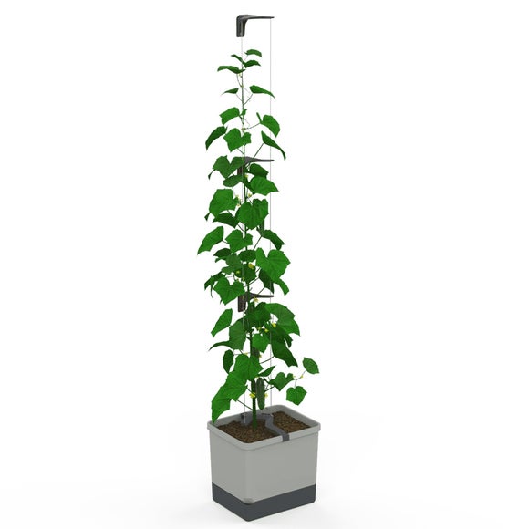 Gusta Garden Curt Cucumber Planter with Water Tank