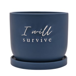 Country Living I Will Survive Ceramic Plant Pot