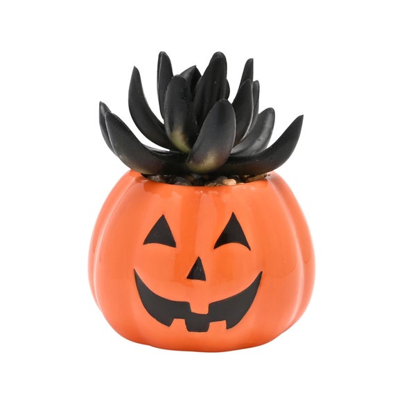 Hocus Pocus Novelties Pumpkin Succulent Pot