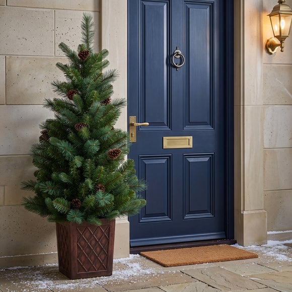 4ft Potted Hazelnut Pine Christmas Tree