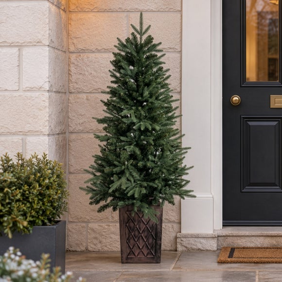4.5ft Potted Rivington Fir Christmas Tree