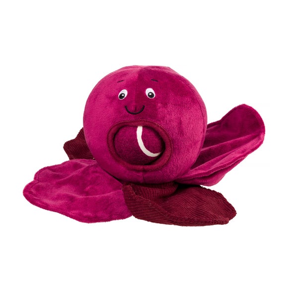 Red Cabbage Dog Toy
