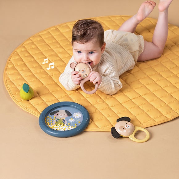 Taf Toys Baby Musical Adventures Set