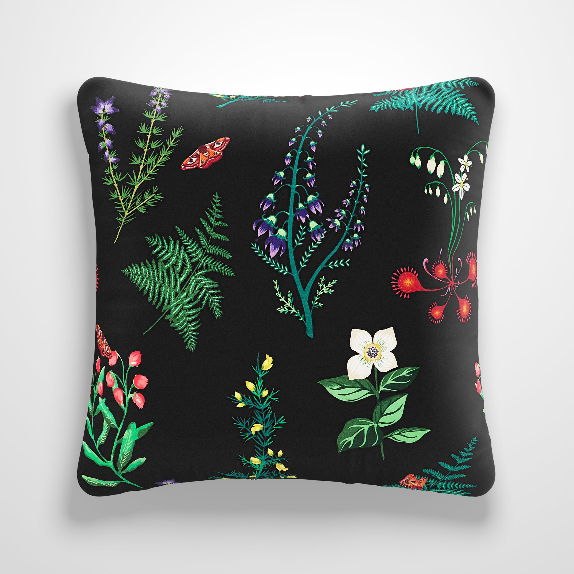 Moorland Velvet Made to Order Cushion Cover Moorland Velvet Black