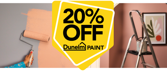 20% off Dunelm Paint