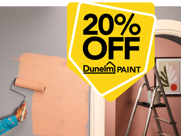 20% off Dunelm Paint