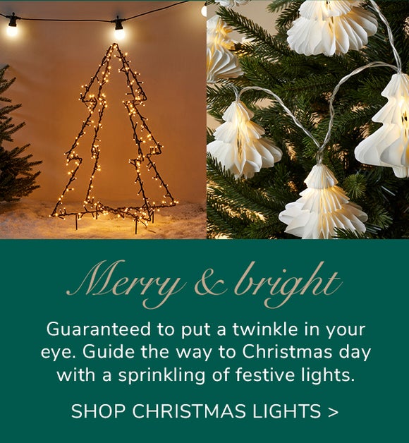 Shop Christmas lights