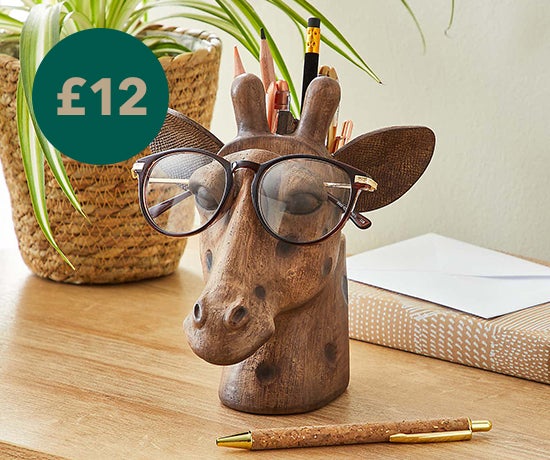 Giraffe Head Pot and Glasses Holder