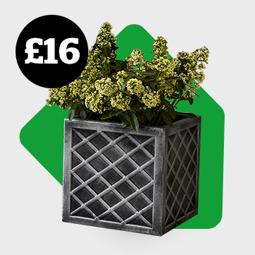 Square Grey Lazio Planter