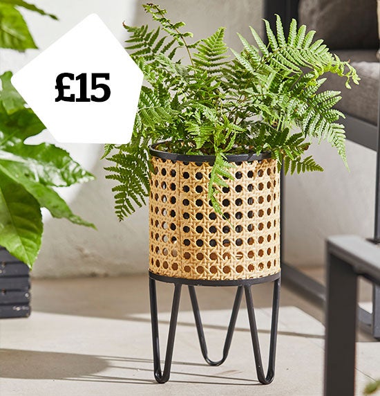 Sulu Small Rattan Effect Plant Pot Stand