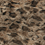 Leopard Print