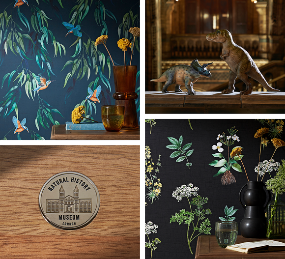 https://www.dunelm.com/info/natural-history-museum-collaboration