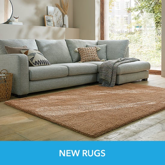 NEW RUGS