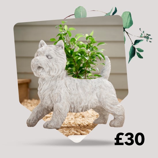 White Westy Planter