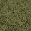 Pure Olive
