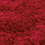 Shimmer Red
